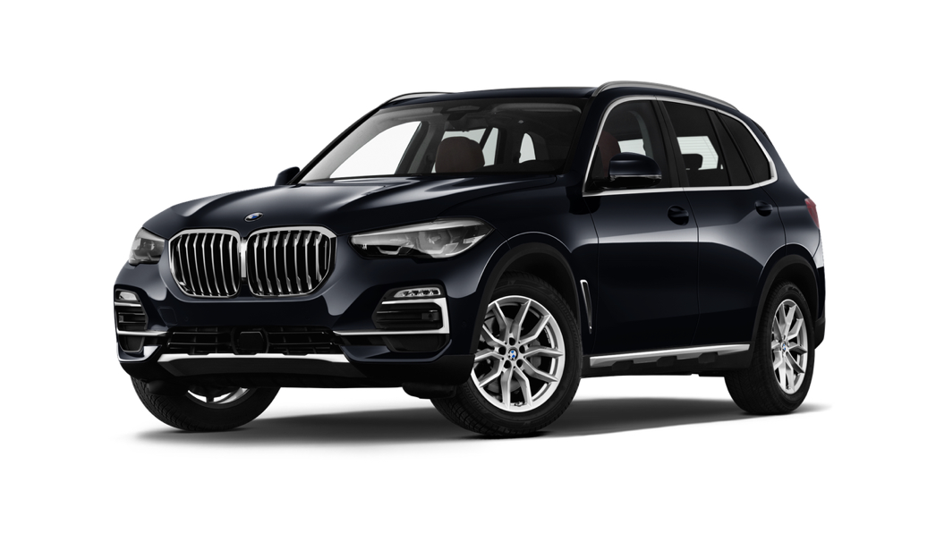 <span style="font-weight: bold;">BMW X5 (G05)</span><br>